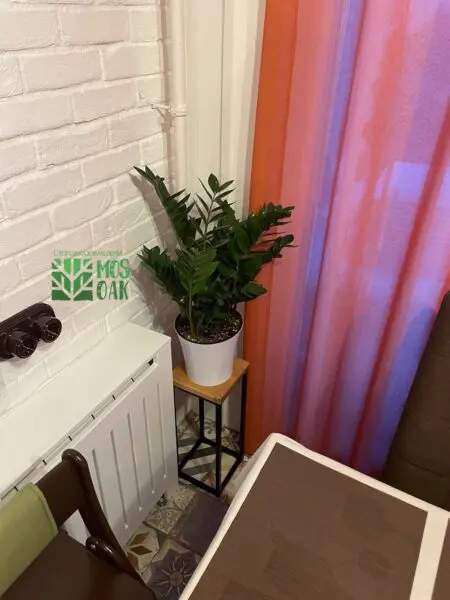 Подставка под цветок Bestloft - отзывы MOS-OAK