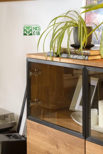 46040265_Moritz_highboard_13